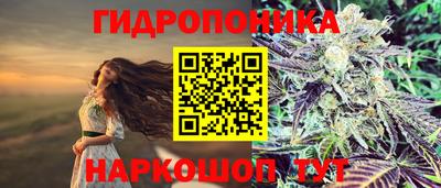 круглые Заволжье