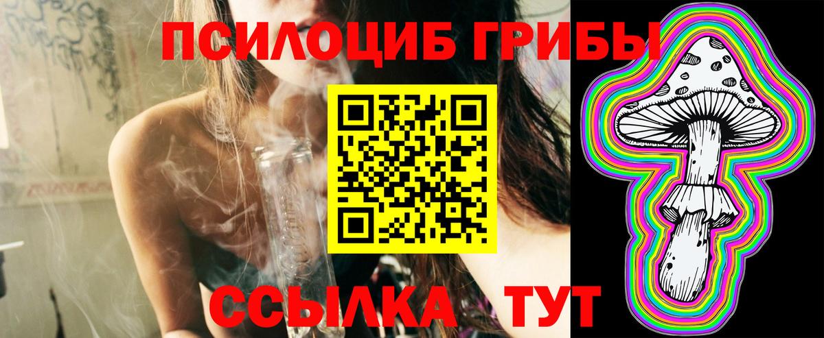 Псилоцибиновые грибы мицелий Оренбург