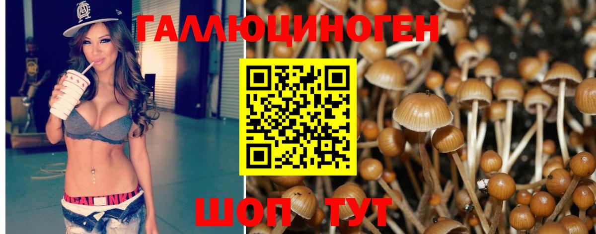 Оренбург  Псилоцибиновые грибы Psilocybe  Галлюциногенные грибы мухоморы  Вход с VPN 
