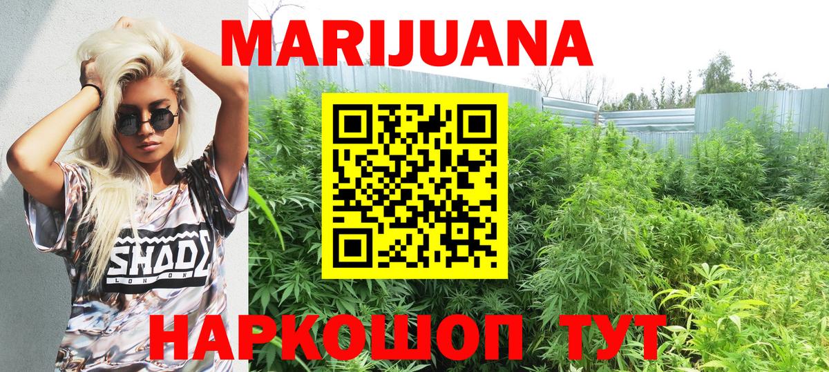 Каннабис тримм  Шишки марихуана планчик  Вход с VPN  МАРИХУАНА Bruce Banner  МАРИХУАНА индика  Оренбург 